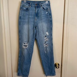 Arizona High Rise Curvy Jeans